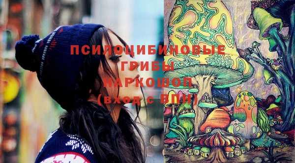 стаф Лабытнанги