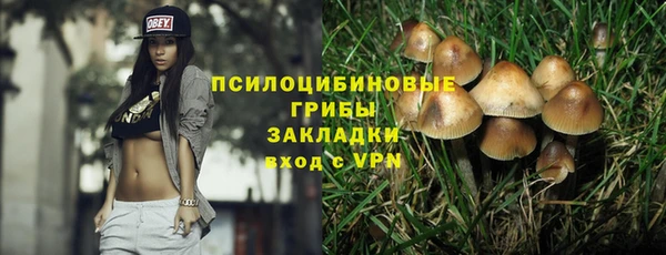 ешки Лагань