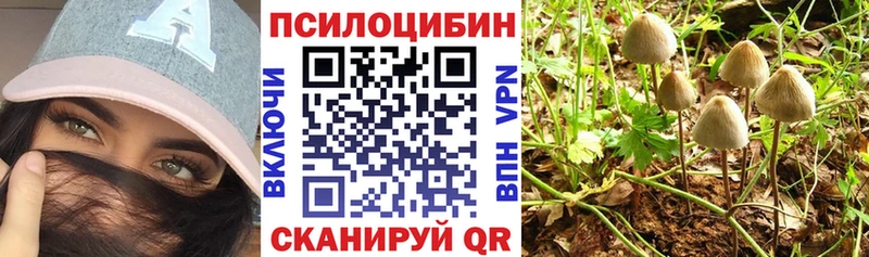 даркнет сайт  Стерлитамак  Галлюциногенные грибы Magic Shrooms 